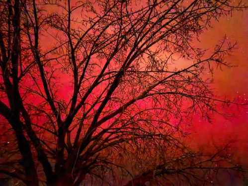 Thank Molnar Wyoming.jpg